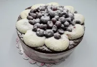 Tort leśna Pokusa 