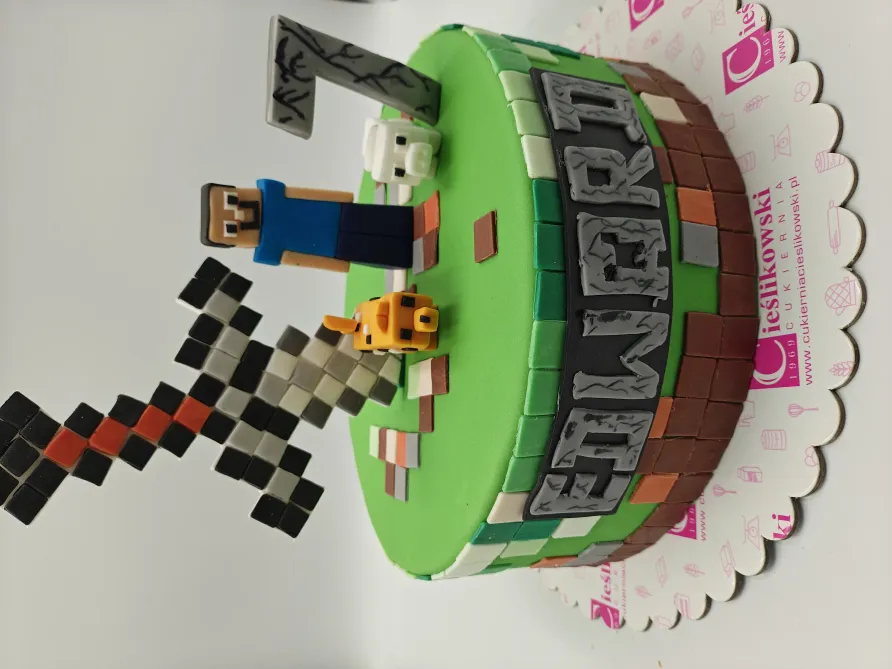 Tort Minecraft